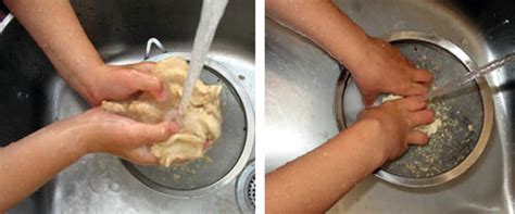 gluten ball experiment|pasta flour gluten content.